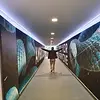 Awatar użytkownika InterKem
