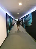 Awatar użytkownika Kemot
