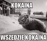 Awatar użytkownika Qfiatek86